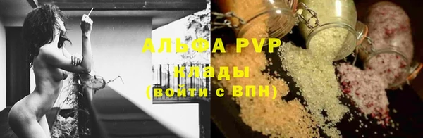 дживик Богородск