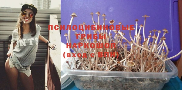 стаф Вязники