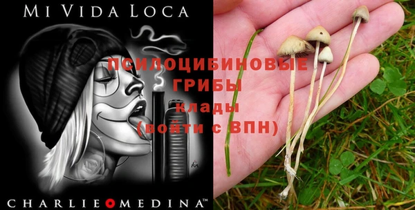 экстази Верхний Тагил