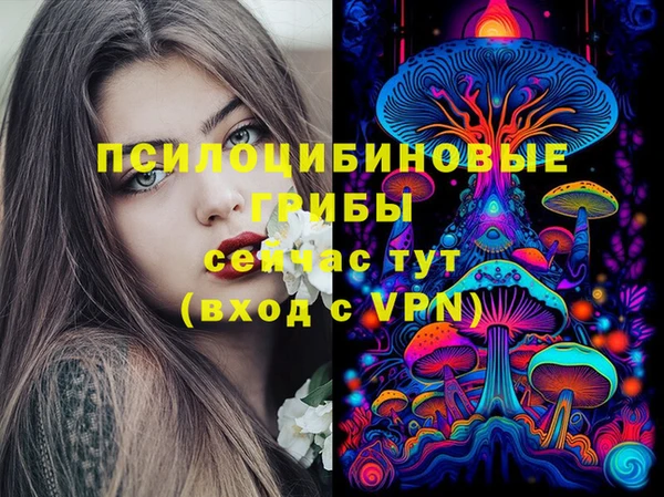первитин Богородицк