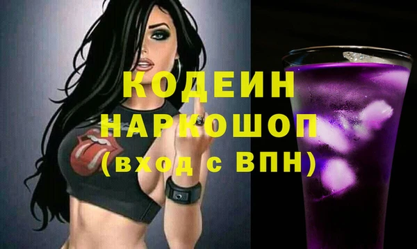 гидра Вяземский