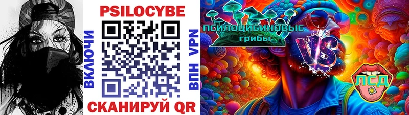 Галлюциногенные грибы Psilocybine cubensis  дарнет шоп  Зеленогорск 